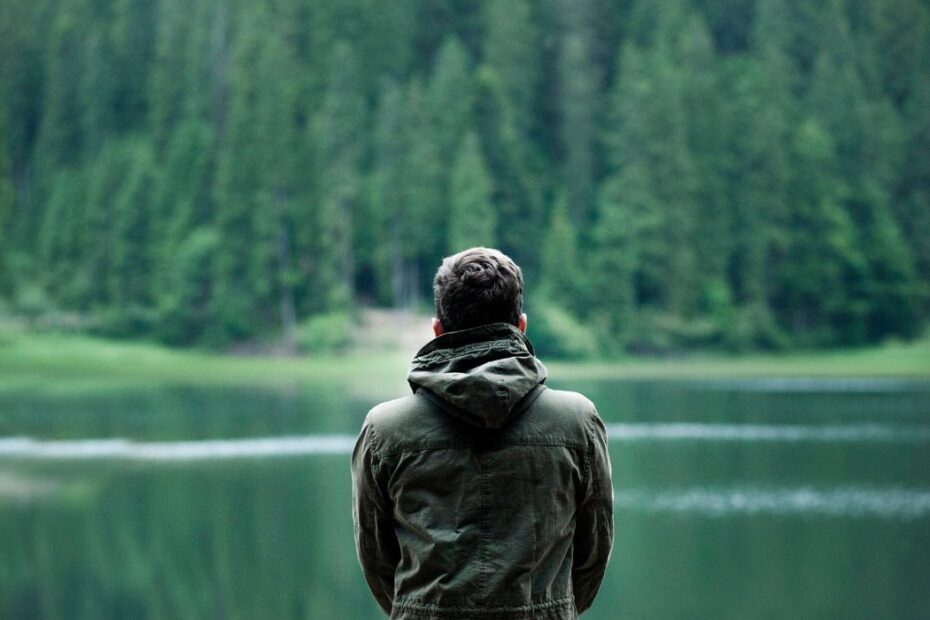 Man silhouetted in nature looking at trees in forest over lake