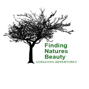 Finding Natures Beauty logo