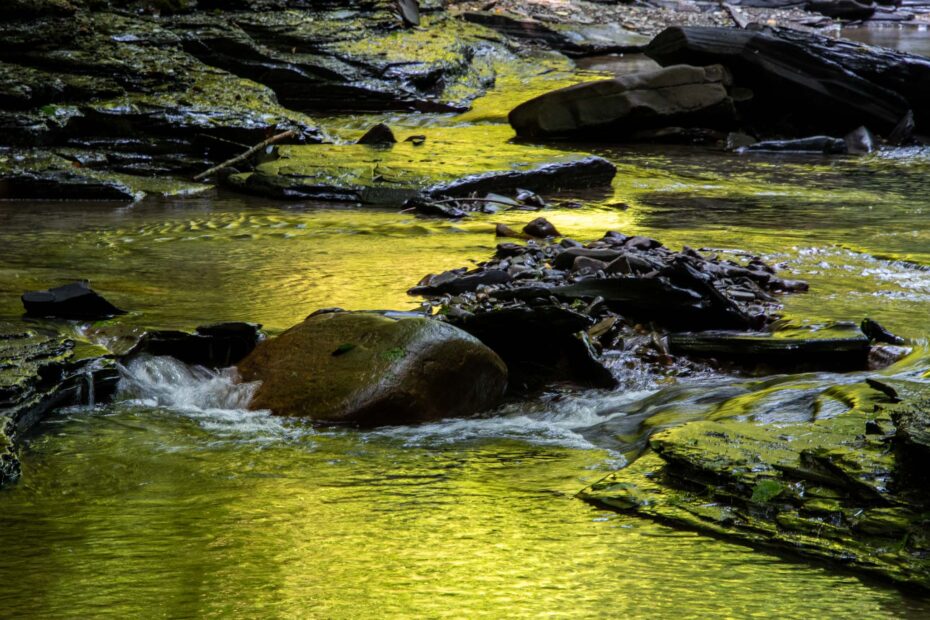 golden light on stream and waterfalls at Fillmore Glen