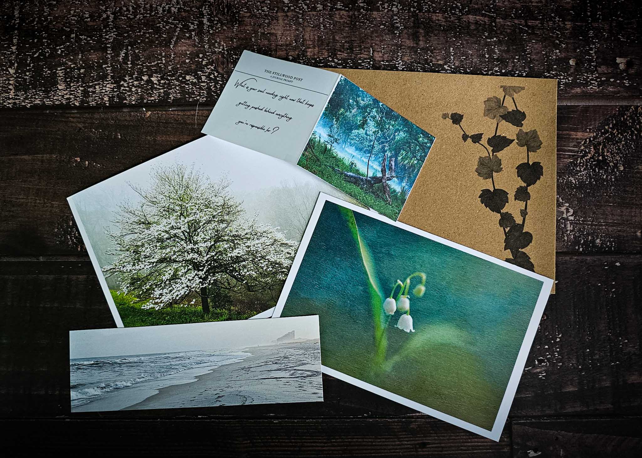 About the photography