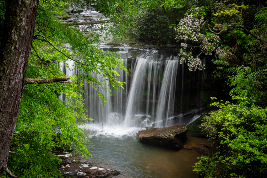 Original nature photograph — hero print