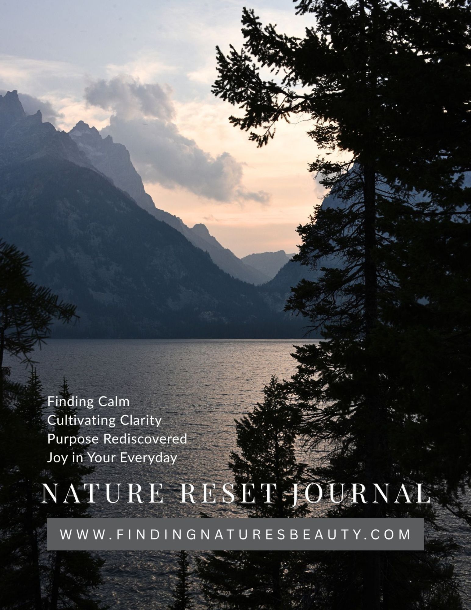 Reset Tree Mountain Forest Nature Reset Journal – Finding Nature's Beauty